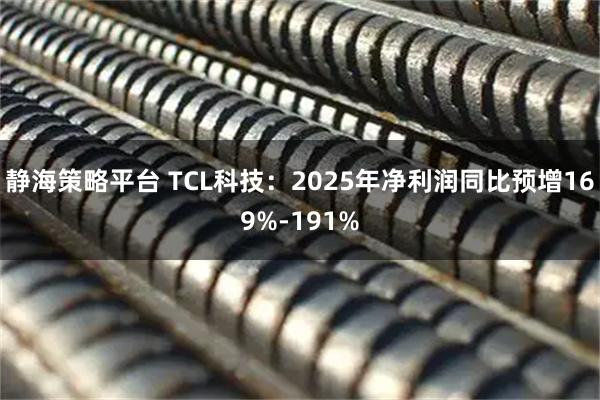 静海策略平台 TCL科技：2025年净利润同比预增169%-191%
