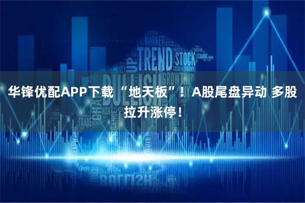 华锋优配APP下载 “地天板”！A股尾盘异动 多股拉升涨停！