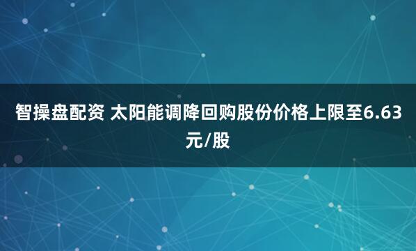 智操盘配资 太阳能调降回购股份价格上限至6.63元/股